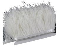 LiuliuBull Nastro di piume di struzzo da 2 m - Frangia di piume da 8-10 cm for cucito fai da te, decorazioni for abiti e vestiti(Bianca)