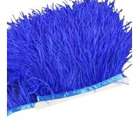 LiuliuBull Nastro di piume di struzzo da 2 m - Frangia di piume da 8-10 cm for cucito fai da te, decorazioni for abiti e vestiti(035sapphire blue)
