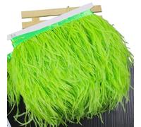 LiuliuBull Nastro di piume di struzzo da 2 m - Frangia di piume da 8-10 cm for cucito fai da te, decorazioni for abiti e vestiti(024fruit green)