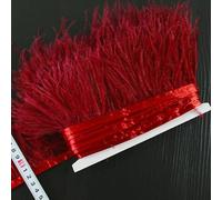 LiuliuBull Nastro di piume di struzzo da 2 m - Frangia di piume da 8-10 cm for cucito fai da te, decorazioni for abiti e vestiti(021wine red)
