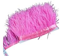 LiuliuBull Nastro di piume di struzzo da 2 m - Frangia di piume da 8-10 cm for cucito fai da te, decorazioni for abiti e vestiti(018dark pink)