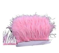 LiuliuBull Nastro di piume di struzzo da 2 m - Frangia di piume da 8-10 cm for cucito fai da te, decorazioni for abiti e vestiti(005color)