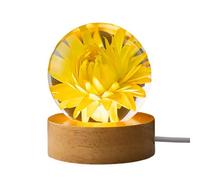 Liuyoyo Fermacarte con Vero Dente di Leone, Sfera di Cristallo Luminosa con Dente di Leone Reale, Sfera di Cristallo Luminosa con Margherita Gialla, Fermacarte Fiore Eterno con (E)