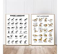 LIUZHUANGDIAN Gatto Carino E Cane Linguaggio Poster Animale Addestramento Conoscenza Tela Pittura Wall Art Picture Print Home Decor-40x60cmx2 Senza Cornice