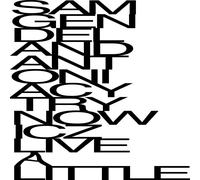 Live a Little CD di Sam Gendel con Antonia Cytrynowicz dal Giappone