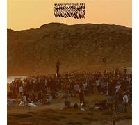 Live At Dunajam - Ecstatic Vision (Audio Cd)