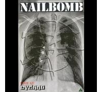 Live at Dynamo Open Air