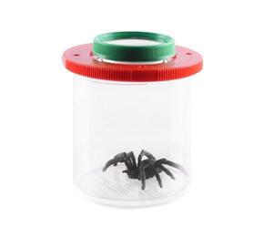 Live Caterpillars Butterfly Cage Observation Box | Insert Viewer Magnifier Backyard Explorer Viewer Kit di raccolta per bambini e bambini