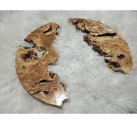 Live Edge Olive Wood Round Slab 20 inches for DIY and Epoxy River Table, Ready to be Resin Table Project (spessore 2,5 cm)
