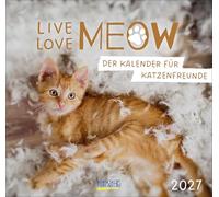 Live, Love, Meow 2027: Geschenkkalender mit Fotos und Sprüchen. Format: 21 x 20 cm.