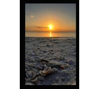 Live.Love.Nature. Sunset 1