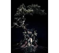LIVE TOUR 12-13 [DIVISION] FIN