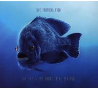 Live Tropical Fish - The Day Is Too Short to Be Selfish