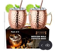 LIVEHITOP Moscow Mule Bicchieri Rame Set of 2, 530ml Rame Moscow Mules Tazze Accessori Cocktail, Festa, Bar, con Coaste