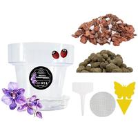 LiveLaif® Kit trapianto di orchidee: 1 vaso (ganci e piatto) + substrato di corteccia di pino selezionato (con perlite e vermicolite), argilla espansa + rete + etichetta (Ø12-trasparente)
