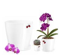 LiveLaif - Vaso orchidea bianco Ø16 cm + piatto | vasi di plastica | fori drenaggio | vasi decorativi interni | Made in Spagna (bianco-lucido, Ø16 cm)