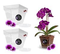 LiveLaif® - Vaso orchidea trasparente + piatto vaso | vasi in plastica | vasi per orchidee trasparenti | vaso orchidea | vaso orchidea | scegliere dimensioni e unità (1, 15 cm) (2, quadrato 15 x 15 x