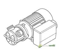 Liverani EP Junior M 1''¼ Pompa nautica 24V 20A TE2 BYPASS