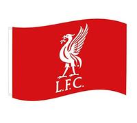 Liverpool FC - Bandiera FC Liverpool YNWA Fahne, 90 x 150 cm, Colore: Rosso, M