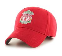 Liverpool FC Core Crest Tappo, Compleanno, Natale Regalo Merchandise Ufficiale