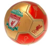 Liverpool FC YNWA Pallone (TA10982)
