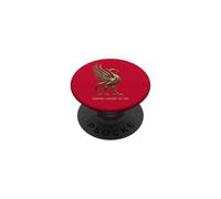 Liverpool Inghilterra Est. 1207 Colossal Liverbird Bronzo PopSockets PopGrip Adesivo