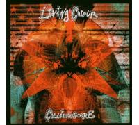 EBOND Living Colour - Collideoscope - Mayan Records - MYNCD014 CD107743