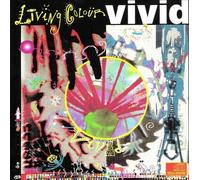 Vivid-Import USA