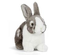 Living Nature An499.Olandese Lop Ear Grey & Baby Bunny Gift Bundle
