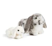 Living Nature- Peluche AN499 Olandese Lop Ear Grey & Baby Bunny Gift Bundle, Bianco, Taglia Unica, Colore White