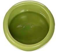 Living World - Piatto ergonomico, grande, colore: Verde