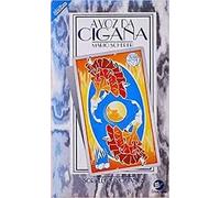 livro a voz da cigana mario scherer 1995