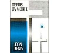 livro depois da mortes leon denis