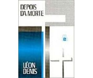 livro depois da mortes leon denis