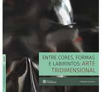 livro entre cores formas e labirintos arte tridimensional ler descrico clediane lourenco 2017