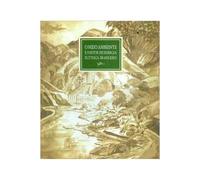 livro o meio ambiente e o setor de energia eletrica brasileiro ligia maria martins cabral coord 2009