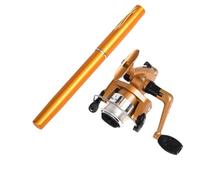 LIXSAZSE Canna da pesca sul ghiaccio affidabile per bambini, mulinello da pesca liscio, accessori, canna tascabile compatta per avventure all'aria aperta di, Oro, Espandi lunghezza 100 cm