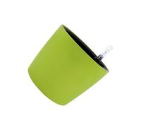 LIXSAZSE Gioco di Piante con Vaso di Fiori ad Assorbimento Automatico dell'Acqua. Coltiva Piante Esotiche con facilità. Vasi Fiori autoirriganti. Corda Cotone Assorbente. Le grasse e Le Erbe, Verde