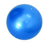 LIXSAZSE Palla Funzionale per Pilates, Palla Anti-Scoppio per Allenamento Fitness, migliora la Forma del Corpo e la Forza del Core Durante Le sessioni in Palestra, Allenamento, Blu, 45 Centimetri
