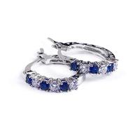 lixuesong Orecchini, squisiti orecchini a cerchio rotondi blu zaffiro e bianco per strass delicati orecchini a cerchio per donne foto shooting
