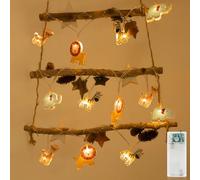 Liyade LED animali fata luci indoor, 2.2M 12LEDS fata luci camera dei bambini con timer di funzionamento della batteria, luce notturna fata bambini per interni, festa, matrimonio (bianco caldo)