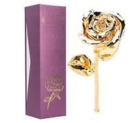 LIYJTK Fiore di rosa placcato oro 24 carati Doppio settimo giorno Decorazioni di compleanno Ornamenti romantico Bellezza di lunga durata