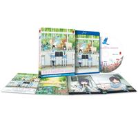 LIZ AND THE BLUE BIRD (BD)(IT)