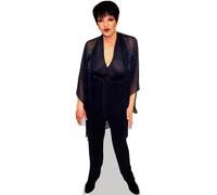 Liza Minnelli (Blue) mini formato