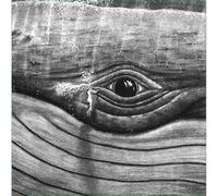 Lizabett Russo While I Sit and Watch This Tree - Volume 2 (Vinyl LP) 12" Album