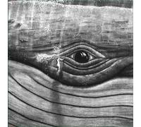Lizabett Russo While I Sit and Watch This Tree - Volume 2 (Vinyl LP) 12" Album