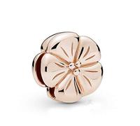 LIZHENG Fit Originale Pandora Braccialetto Charm 925 Sterling Silver Beads Reflexion Lucidato Fiore Clip Donne Gioielli Fai da Te