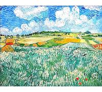 liziciti Kit per pittura a mosaico 5D per adulti, con ricamo a punto croce e strass di Van Gogh, 30 x 40 cm (Le pianure di Orvison)
