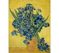 liziciti Kit per pittura a mosaico 5D per adulti, con trapani completi, capolavori di Van Gogh, punto croce con strass, ricamo a punto croce, 30 x 40 cm (Iris viola in una bottiglia)