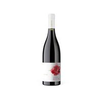 LIzzos - Isola dei Nuraghi IGT - 6 x 0,75 l - Cantina Carpante